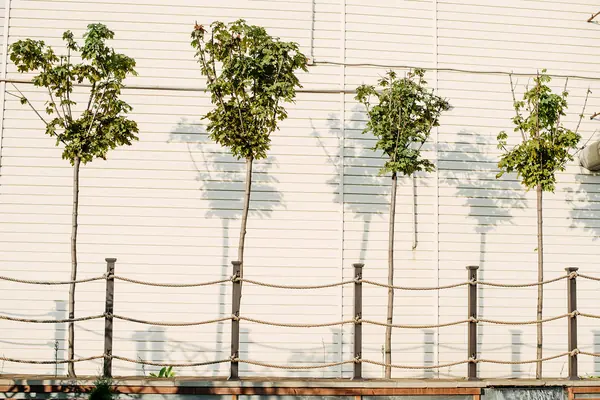 Лодочная станция