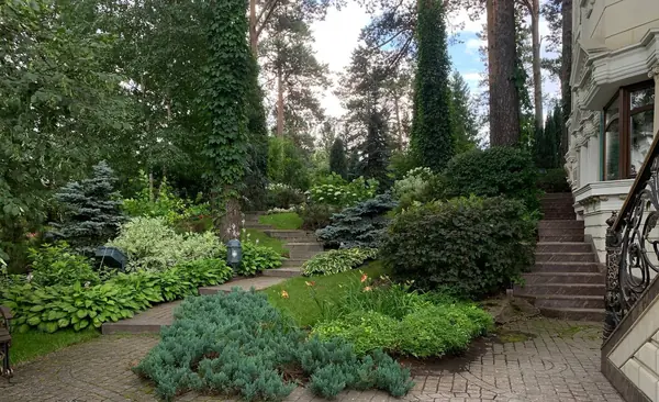 Реализованные проекты