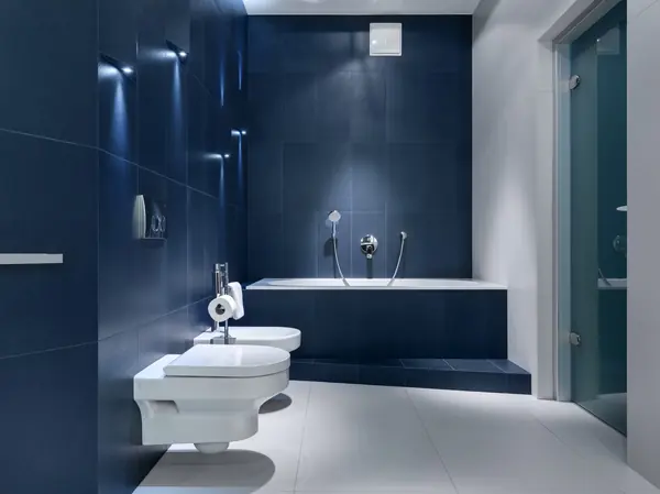 Музыка света