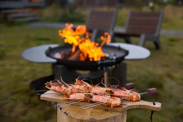 Готовим на костровых чашах