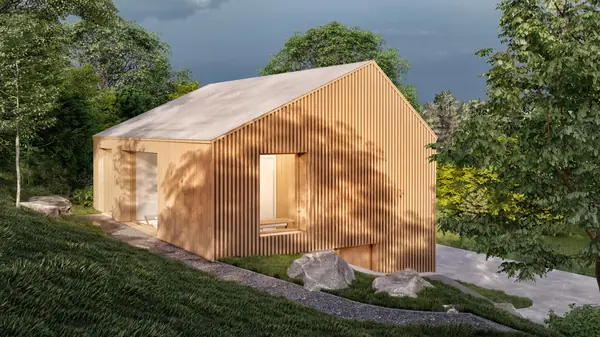 Зарождение