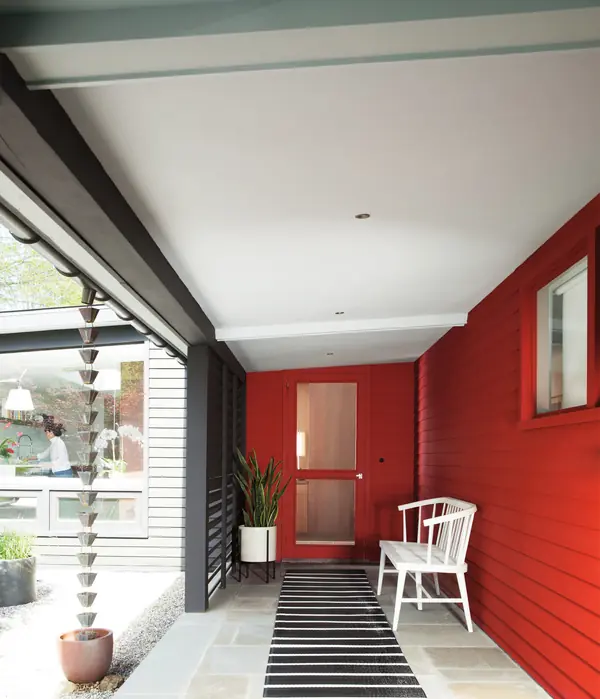 Цвет года 2018 (Caliente AF-290)