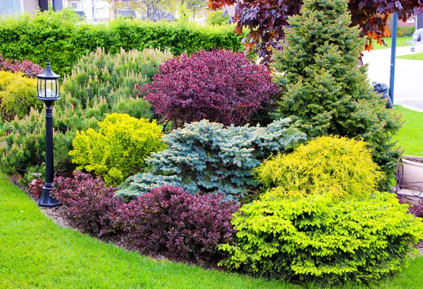 Новые Вешки