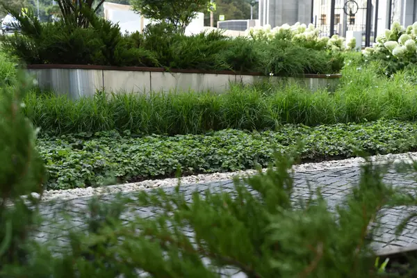 Северная корона