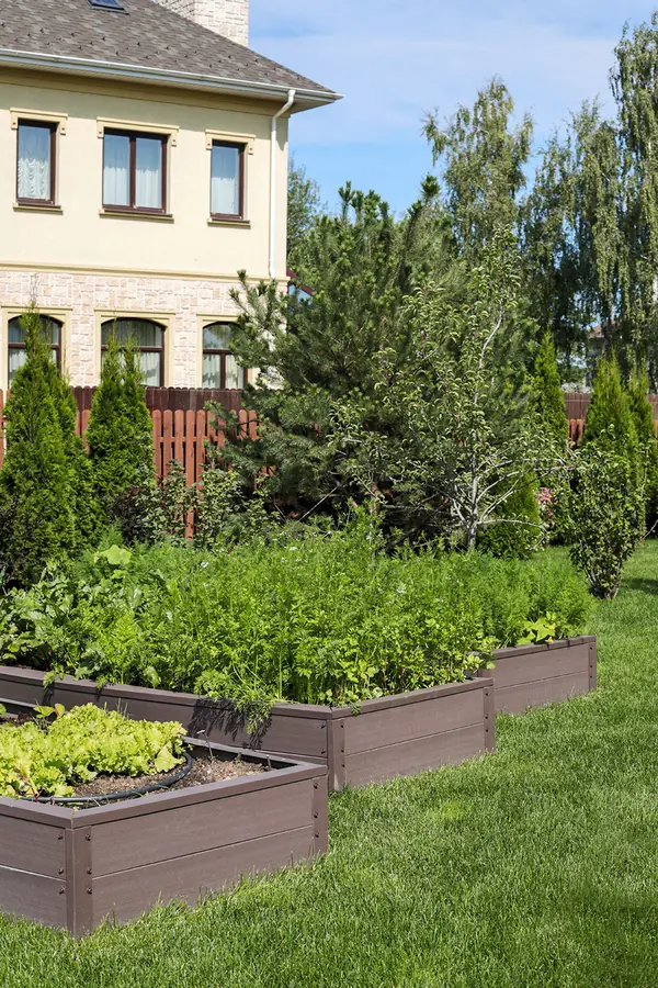 Ландшафтный дизайн приусадебного участка