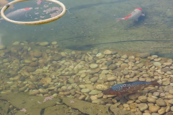 Родовое гнездо - трехэтажный загородный дом в Нижегородской области