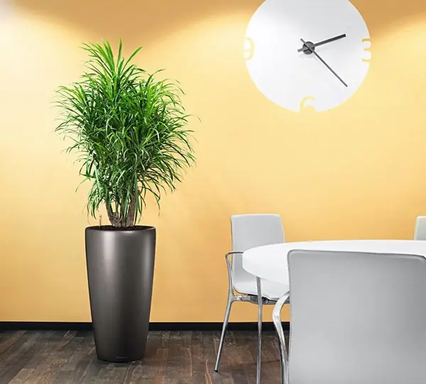 Уникальные и элегантные