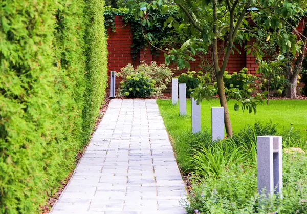 Долгопрудный, 2020 г.