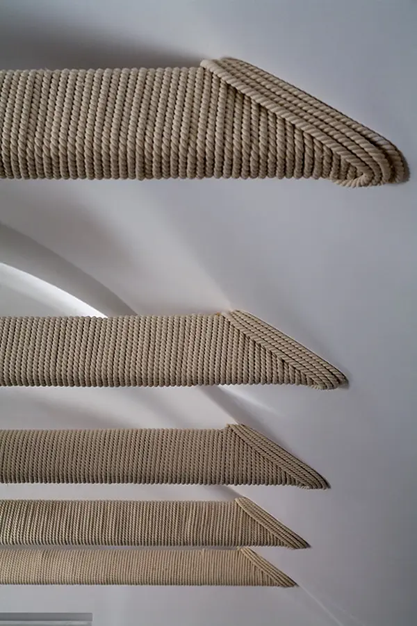 "Чердак для Чемпионов" для программы "Дачный ответ" на НТВ