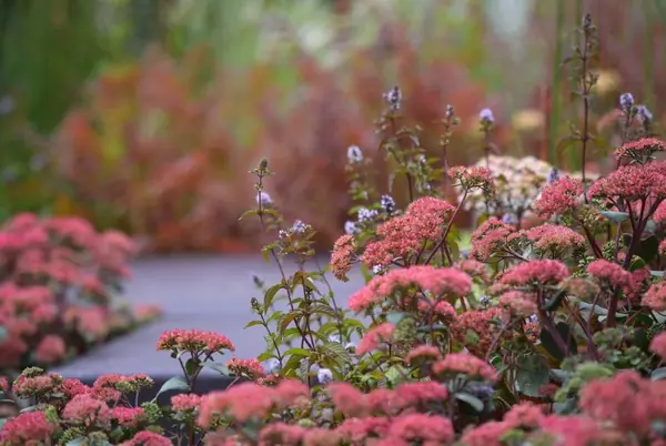 Выставочный сад на ВДНХ