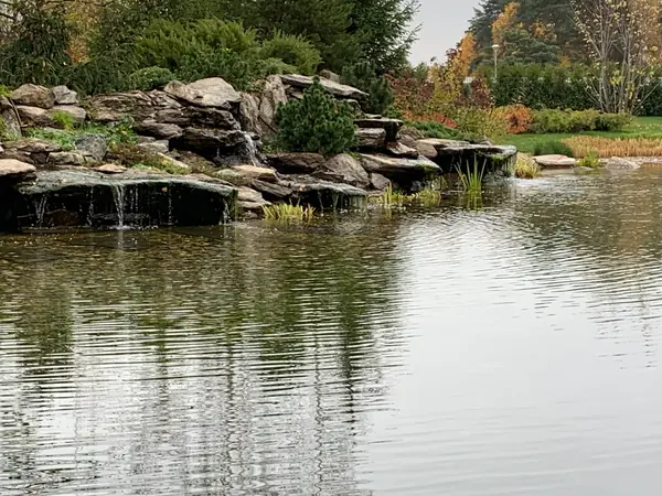 Проект сада с водоемом