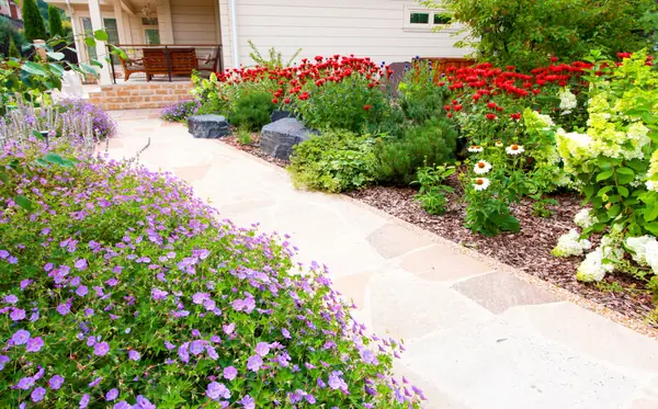 Павлово-2, 2022-2024 г.г.