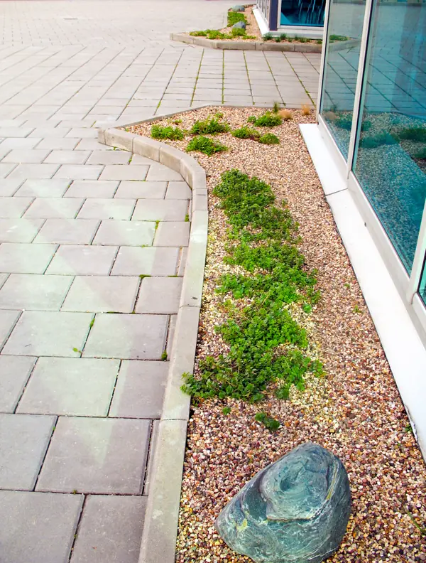 Москва-Сити, Северная башня, 2010 г.