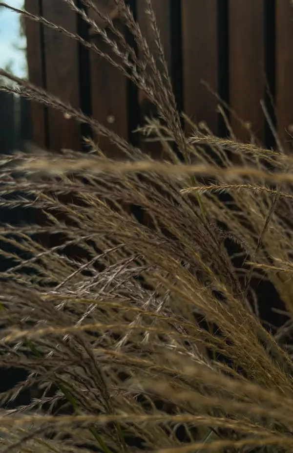 Реализованный проект КП Панорама