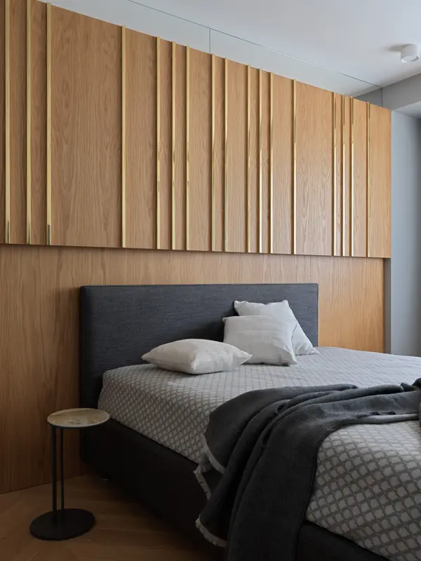 Проект Лебедь