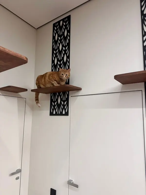 Настенный игровой комплекс для кошек