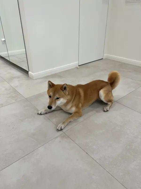 Камские огни 2. Реализация.