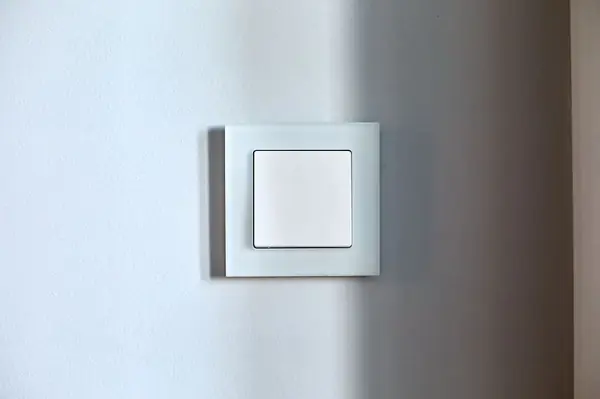 Werkel в новом проекте Анны Сысоевой, Татьяны Одинцовой и Екатерины Коротковой