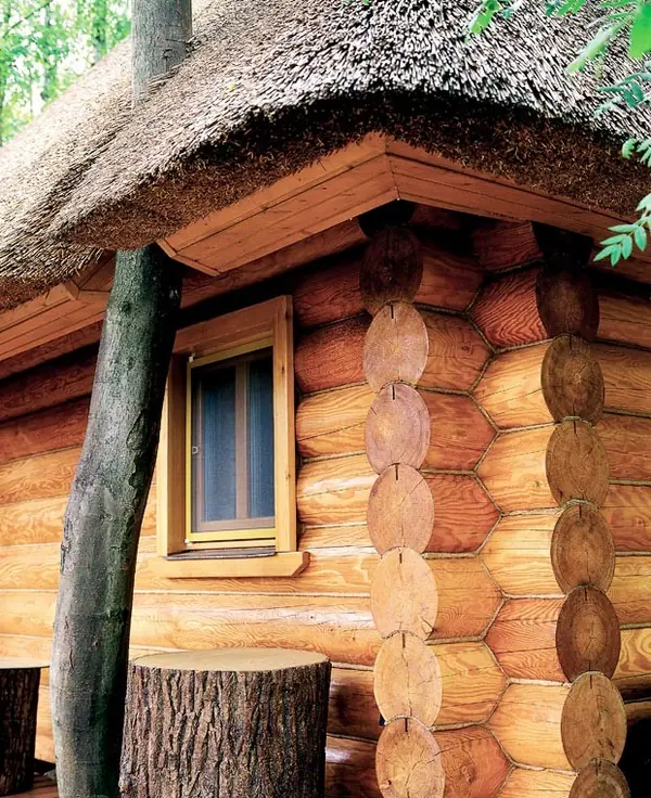 Sauna thatched roof