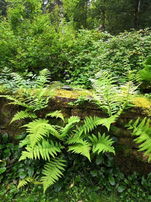 Романтический сад в пейзажном стиле
