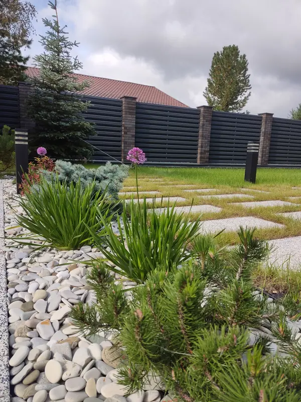 Денис Светлый Яр