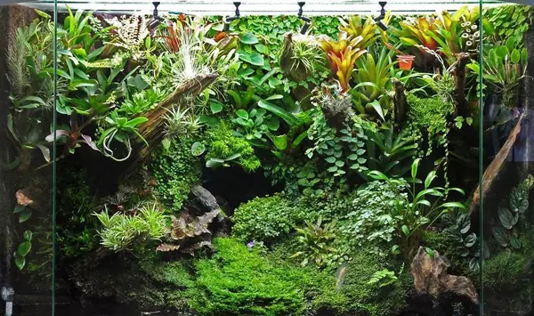 Полюдариум