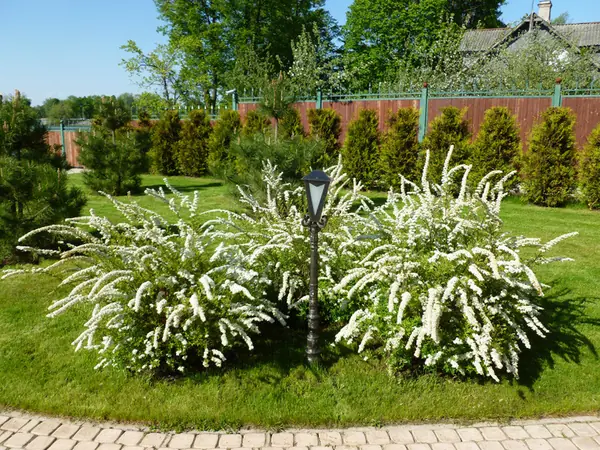 Озеленение