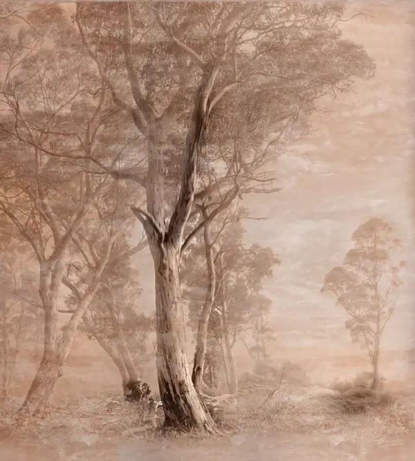 Villa Latchi. Cyprus