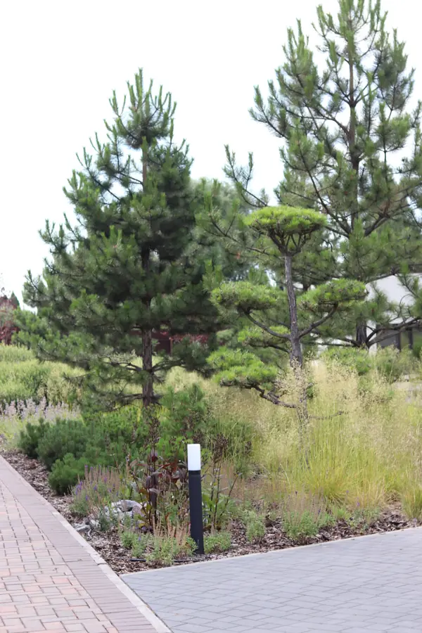 WB Парковая часть