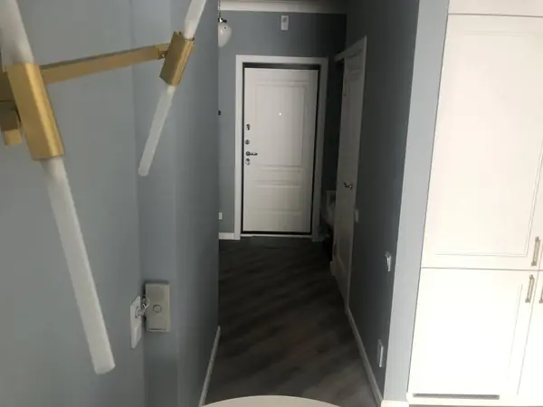 Блюхера 49 м2