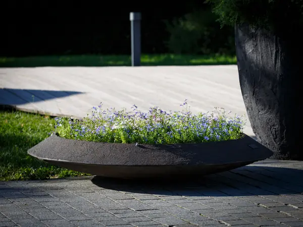 Вазоны и кашпо