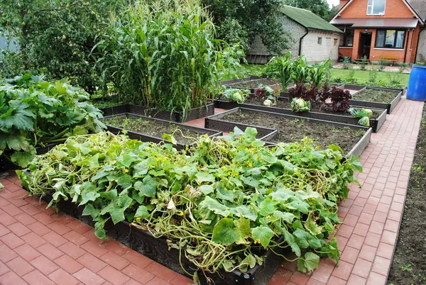 Володарское шоссе