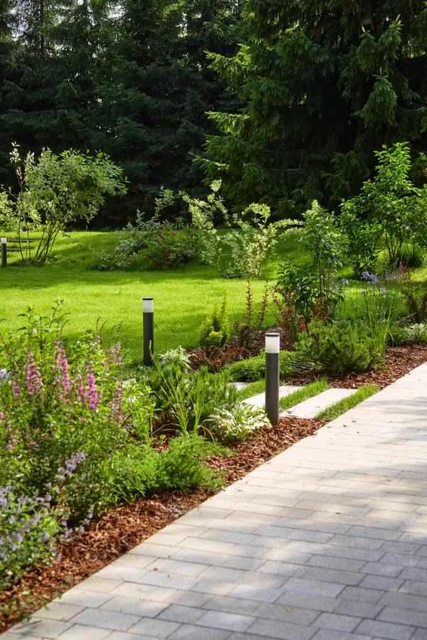 На Лисьем Носу