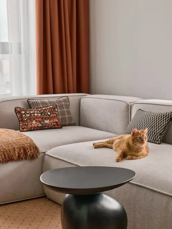 Гостиная для кота