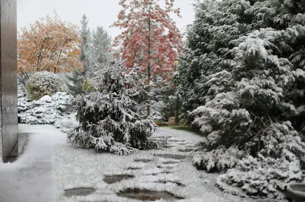 Агаларов-эстейт