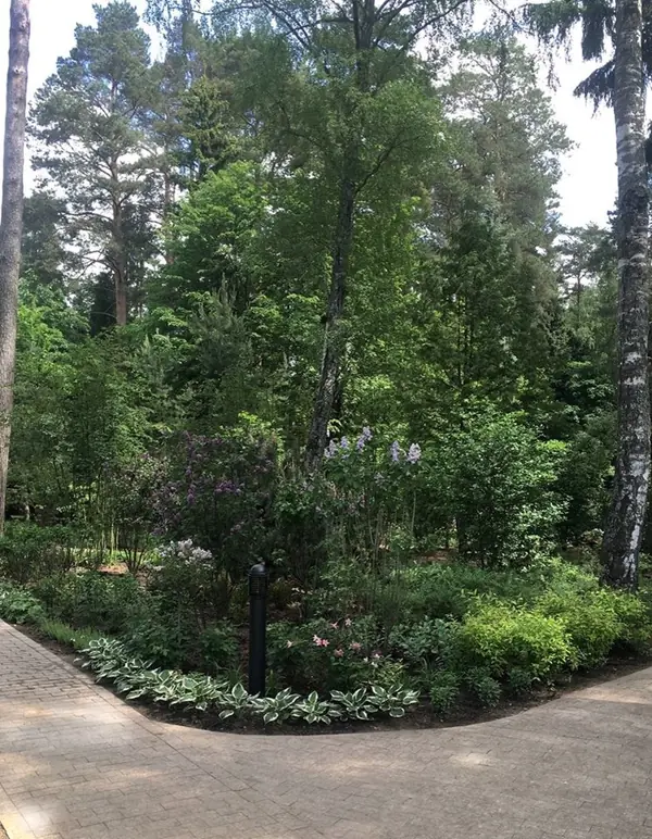 Ландшафтный дизайн