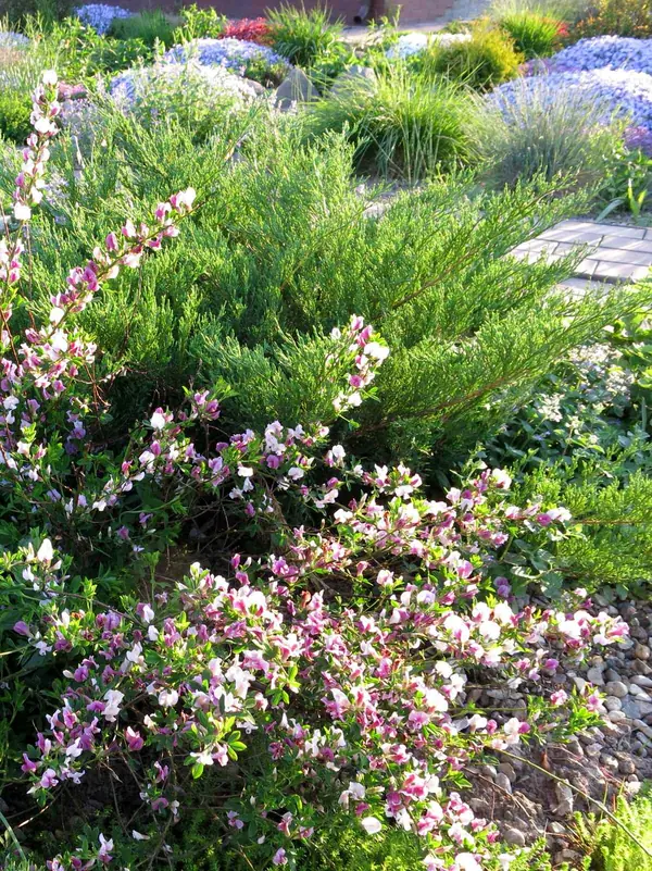 ТЕПЛЫШКО МОЕ. ВЕСНА.