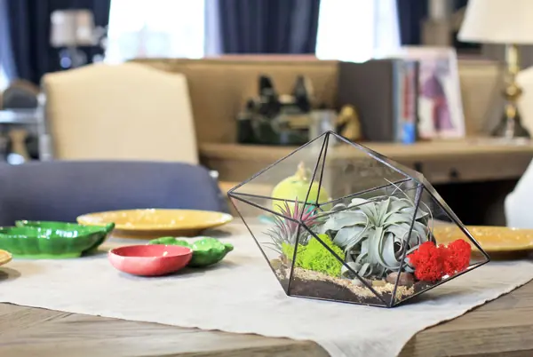 Флорариум "Заколдованный лес"