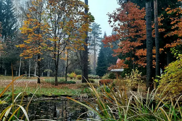 Романтический сад в пейзажном стиле