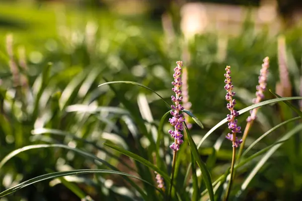 Загородный клуб