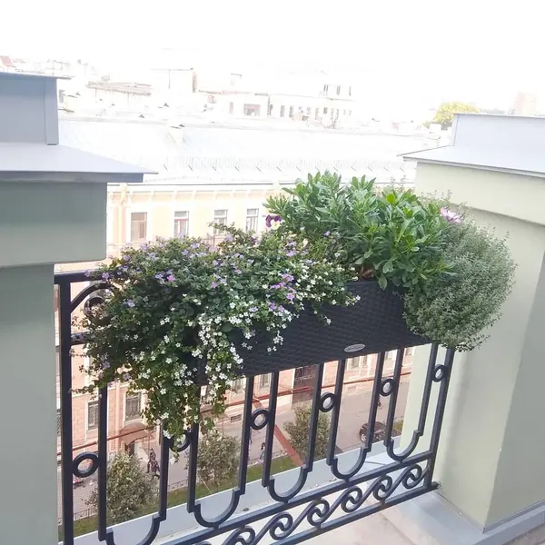 Озеленение офиса компании Кефир