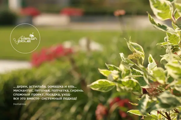 landscape design - Kirovskoe_Dnepropetrovsk region