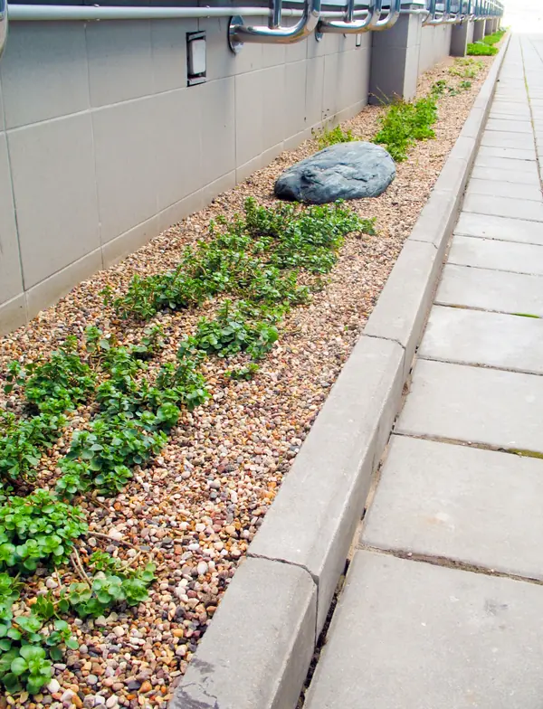 Москва-Сити, Северная башня, 2010 г.