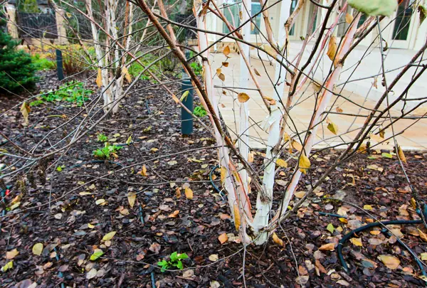 Павлово-2, 2022-2024 г.г.