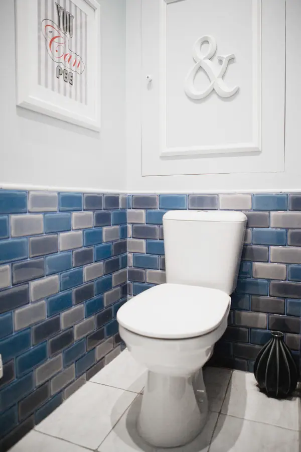 Letters, robots and frogs