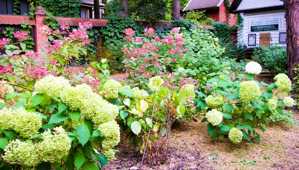 Баковка, 2018 г.