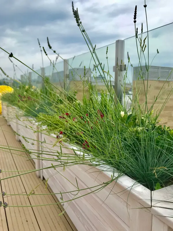 Пентхаус в Сочи