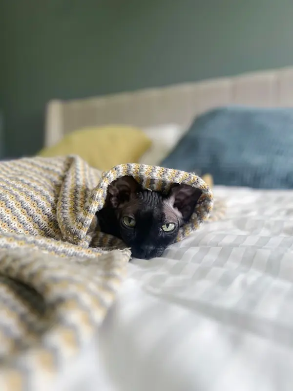 Сочная классика в старом фонде (ФОТО)