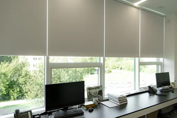 Рулонные шторы с тканью блэкаут