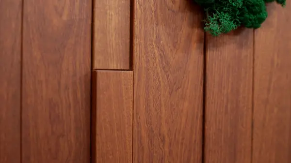 Стеновые панели Сапелле со мхом